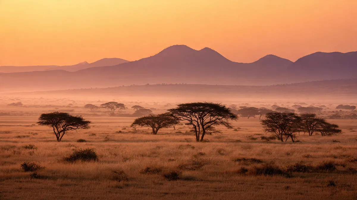 Dawn light breaking over an African savanna with scattered acacia trees and distant mountains